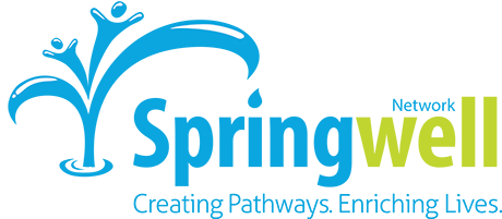 Springwell Network
